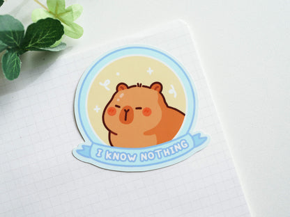 I Know Nothing Sticker