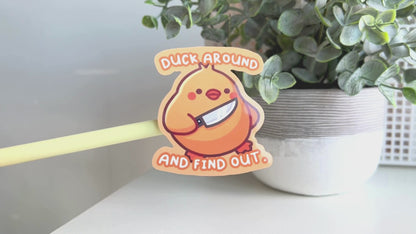 Duck Around And Find Out Sticker