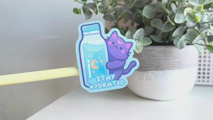 Stay Hydrated Cat Sticker